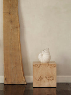 Shell Vase displayed on a carved wooden plinth beside a timber slab