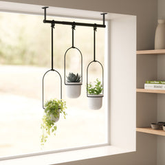 Umbra Triflora hanging planters fitted across a bright window with trailing and succulent plants