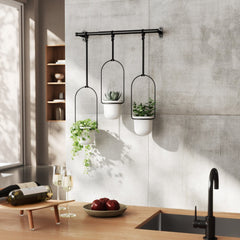Triflora white and black hanging planter trio mounted above a kitchen worktop